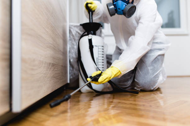 Best Bed Bug Extermination  in Springfield, GA