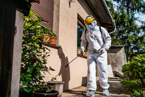 Best Emergency Pest Control  in Springfield, GA