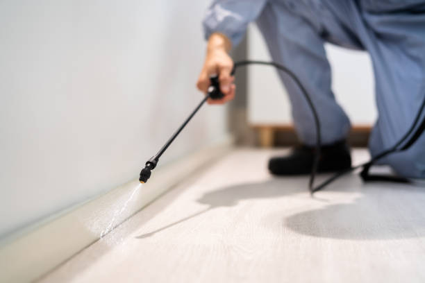 Reliable Springfield, GA Pest Control Solutions