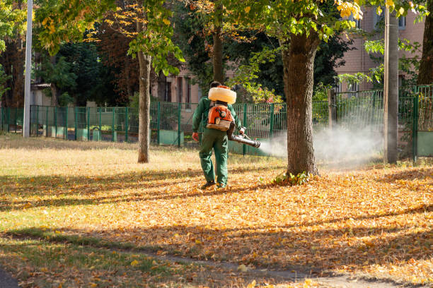 Best Best Pest Control Companies  in Springfield, GA